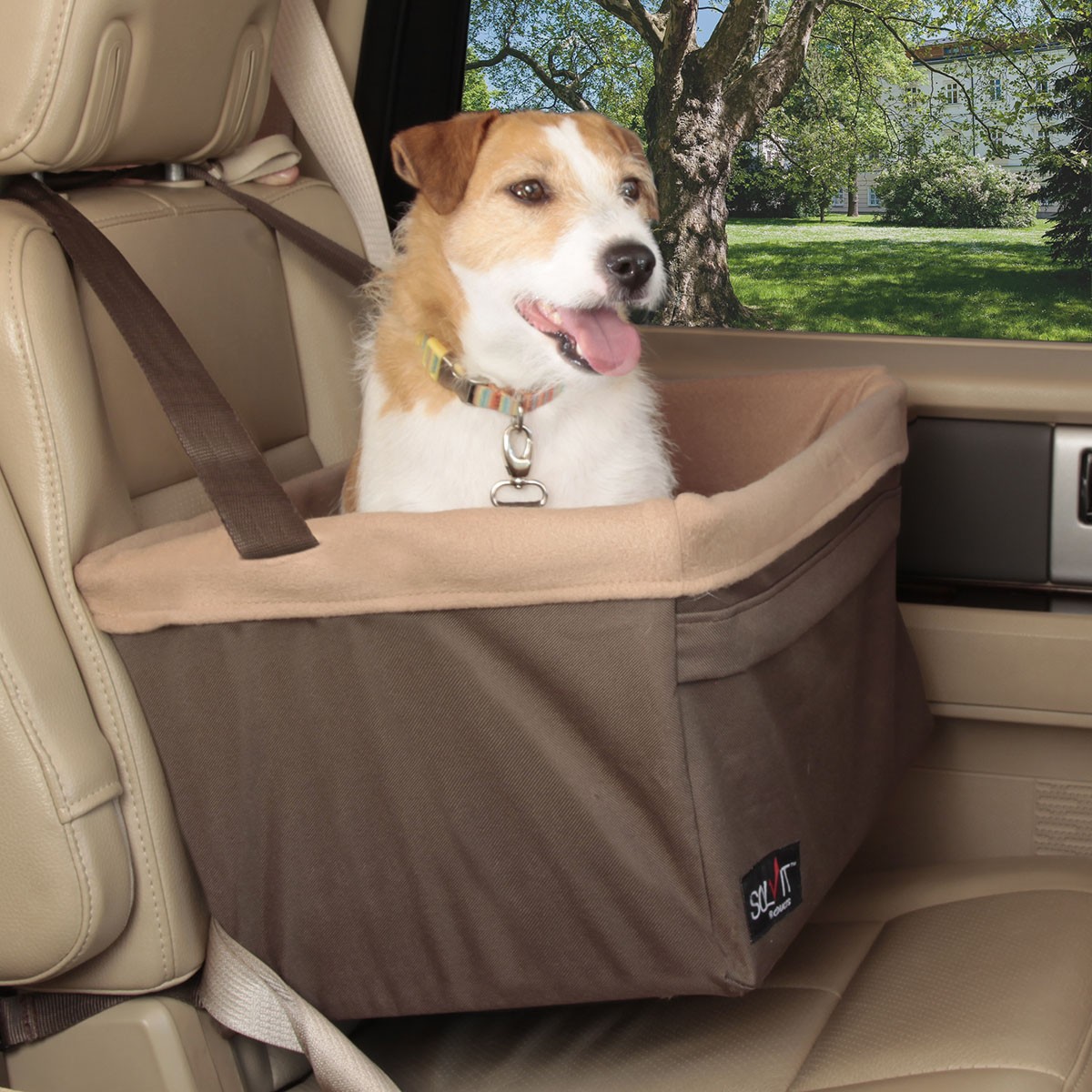 Dog booster car seat