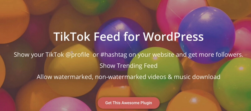 TikTok Box WordPress Plugin 
