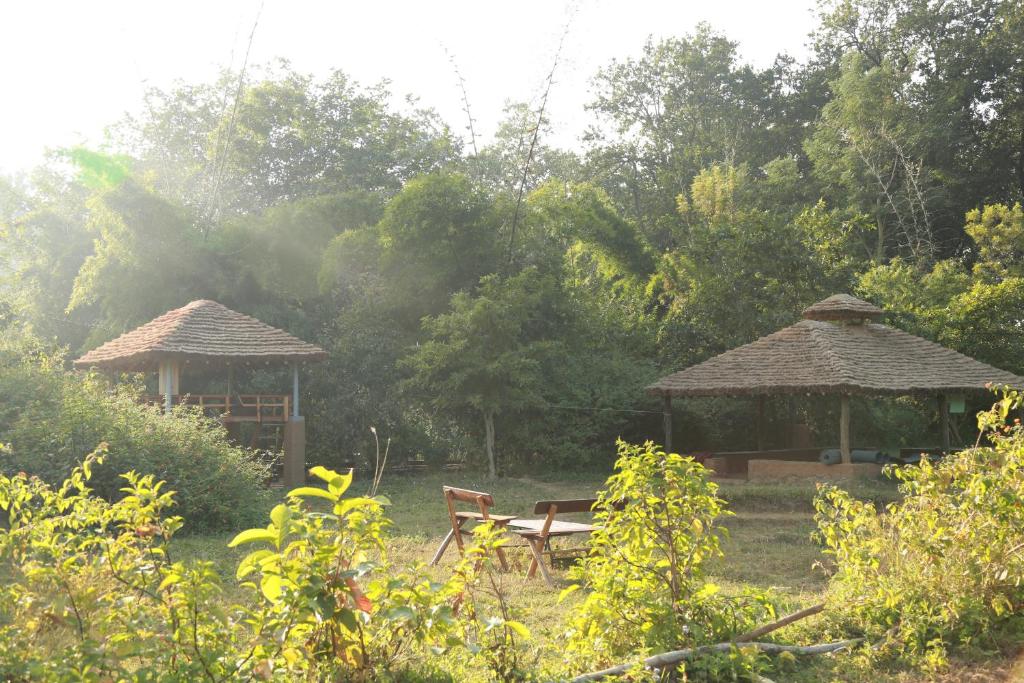 Camping At Kyari Village