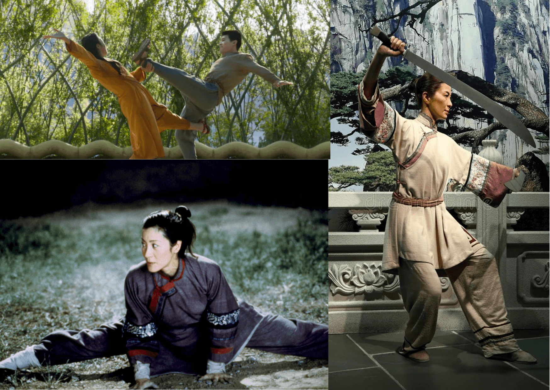 Michelle Yeoh - A Martial art Expert