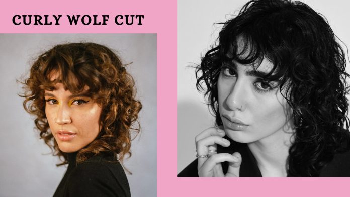 curly wolf cut