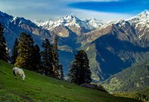 All you need to know about Sar Pass Trek Sar Pass Trek