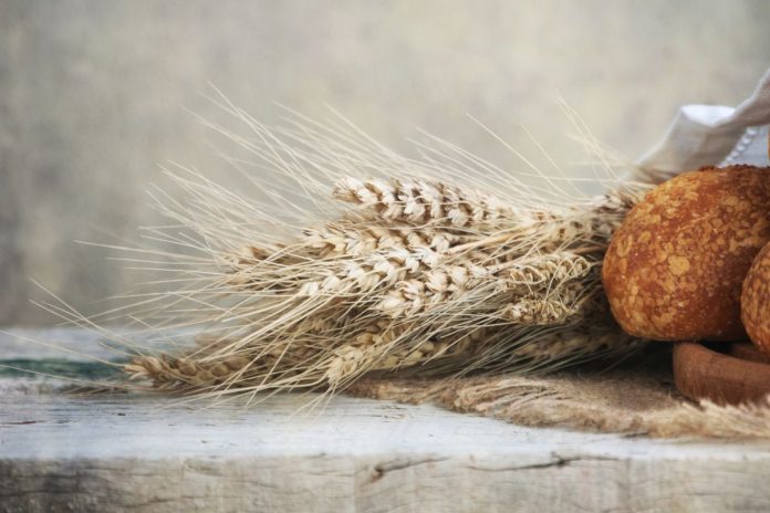 bread Перекaлач